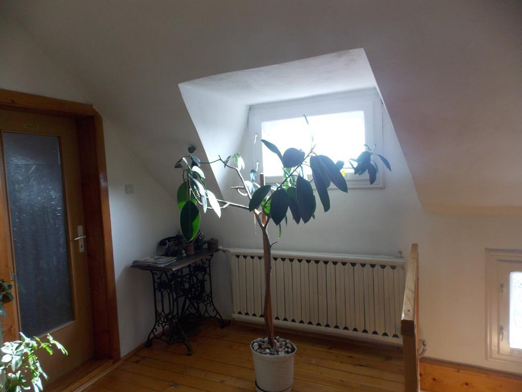 Casa Fortyogo Tîrgu Secuiesc 외부 사진